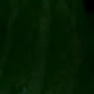 Meet your Posher, Hayley